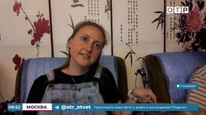 Мягкие лапки и чистое наслаждение: в Гонконге открыли массажный салон с кошками