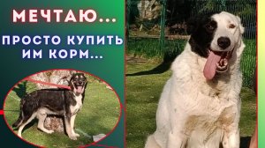 Не так много надо еда, вода, титры и пристрой!