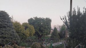 Наши новости 04.05.26.