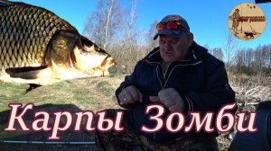 Карпы зомби.Ожидание и действительность.#рыбалка ,#озеро,#весна  ,#удочка ,#донка ,#оснастка ,