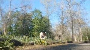 Баланс 4-х Стихий Оксаны Русиной в Кропивницком на природе МНШУ