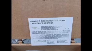 Выставка «Динозавры Кузбасса»
