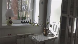 Часть2. Непогода натворила дел. Шторы в беседку. Куда же посадить туи. Посевная началась.