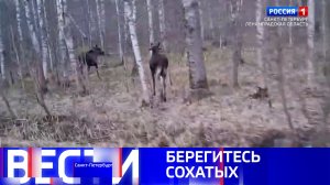 Вести Санкт-Петербург. Выпуск 09.30 от 05.05.2026
