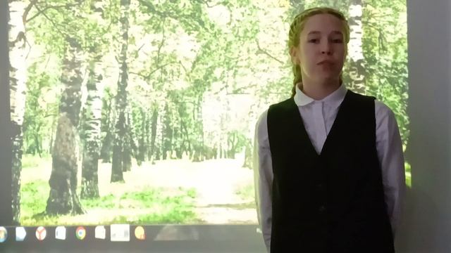 Николай Рубцов «Берёзы».