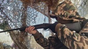 Съездил на болото поохотить