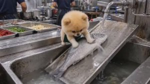 Как приготовить морепродукты