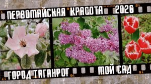 Первомайская красота в моем саду. Музыка релакс.