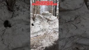 Умышленное повреждение деревьев в ротари-сквере ПКГО