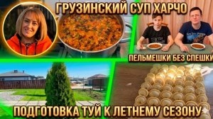 Грузинский суп Харчо. Пельмешки без спешки. Подготовка туй к летнему сезону.