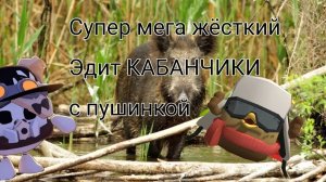 Мега супер ультра жёсткий Эдит кабанчики от пушинки (видео не моё)