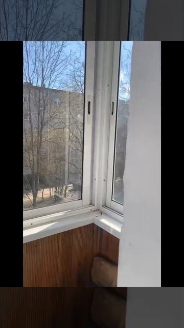 VID_20260505_173550 смотреть онлайн
