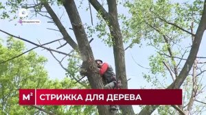 Квадратные метры / Владивосток расцветает! / 05.05.26