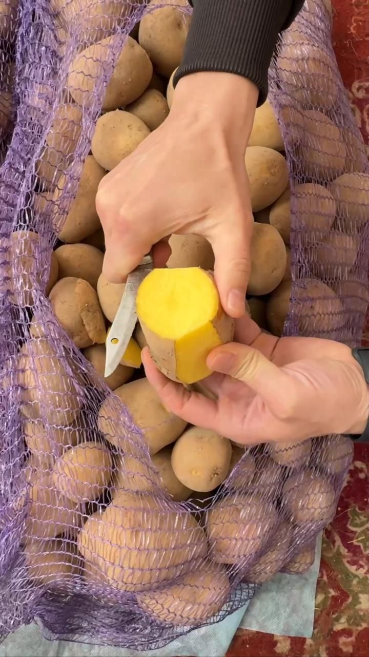 Продайте картофель оптом Доска объявлений АгроБизон