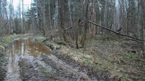 Возвращение домой .