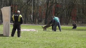 05-02-2026_ЧР по БРР Группа Б Четвертый участник 4 этап