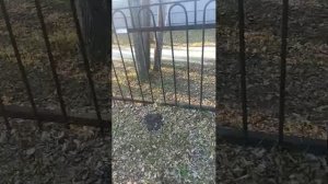 вечерная прогулка