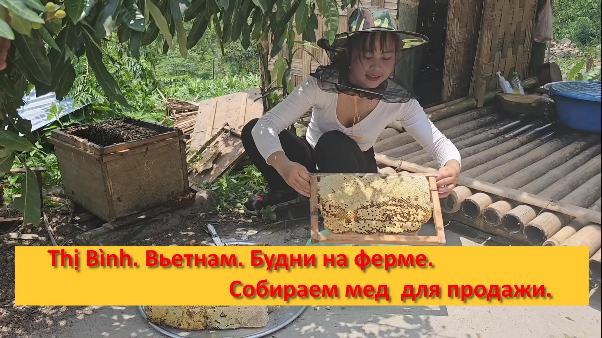 Thị Bình. Вьетнам. Будни на ферме. Собираем мед  для продажи.