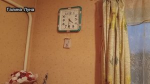 5.5.26. Утро. Сегодня ещё так