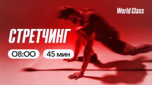 СТРЕТЧИНГ с Эльвирой Сахибгареевой | 5 мая 2026 | Онлайн-тренировки World Class
