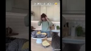 Шуточный ролик с кошкой и собакой.