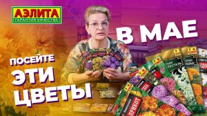 Посейте эти ЦВЕТЫ сейчас! Неприхотливые цветы для вашего сада!