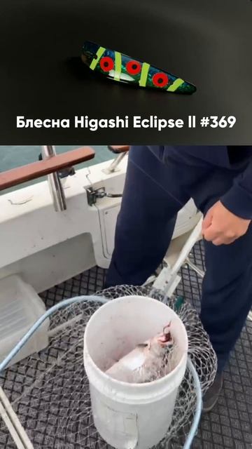 🎣Сезон Троллинга 2026🎣