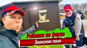 Порыбачил в зоопарке! Новый водоем Заокские поля! / Ловля форели ранней весной!