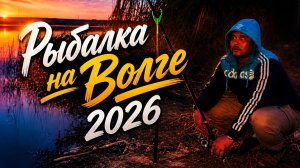 Незапланированная Рыбалка на Волге 2026 !