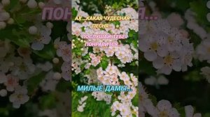 video_14077958231405.mp4