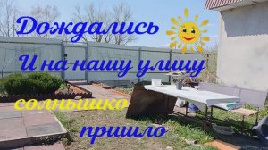 К  нам вернулась  весна.. Прогуляемся по участку