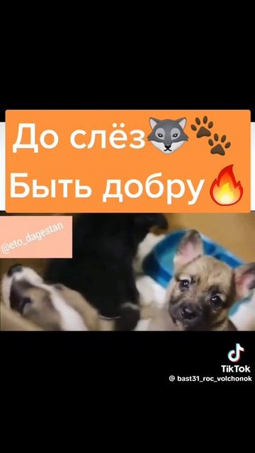 14303.mp4 смотреть онлайн