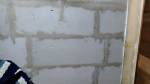 Видео привет 4 мая. Начали делать грядки в теплице. Пришёл рыжий гость.
