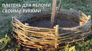 ПЛЕТЕНЬ ИЗ САДОВЫХ ОБРЕЗКОВ.ЗАБОР ЗА 0 РУБЛЕЙ СВОИМИ РУКАМИ