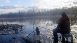 за весенним карасём