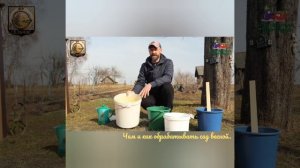 Чем и как обработать сад весной.