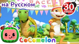 Гонки Черепахи и Зайца # 30 минут # CoComelon на русском — Детские песенки # Мультики для детей