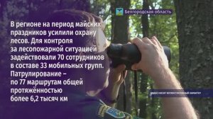 В регионе на период майских праздников усилили охрану лесов