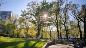 Влог / 04-05.05.2026 / Прогулки, цветочки, наш тюльпан