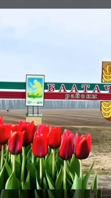 Живая память тем, кто отстоял наше право на мир и свободу