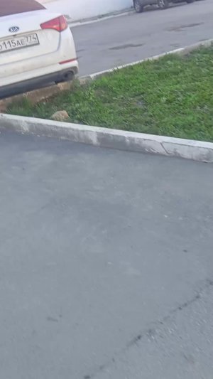 иду гулять