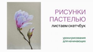 РИСУНКИ ПАСТЕЛЬЮ. Уроки рисования - закулисье художника. Листаем скетчбук