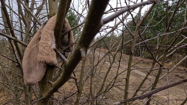 Носки на дереве смотреть онлайн