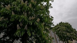 5.05.Анапа.Дожди.