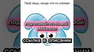 подписывайтесь на мой канал в МАХ