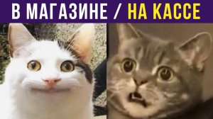 В МАГАЗИНЕ / НА КАССЕ) Приколы