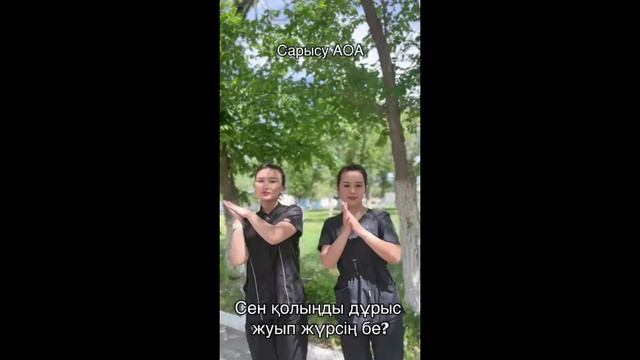 5 мамыр Дүниежүзілік қол гигиенасы күні