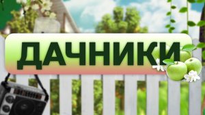 Любимая ягода: как легко и правильно вырастить садовую землянику