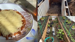Градус падает прям на глазах🥶 ТАКОЕ даже я кушать буду😋