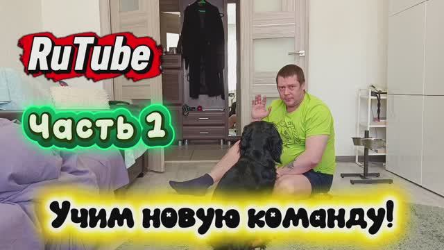 Учим новую команду 🙂Часть 1